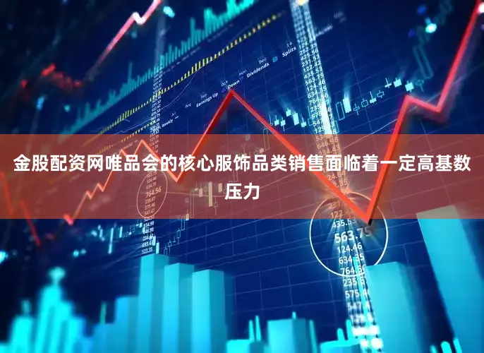 金股配资网唯品会的核心服饰品类销售面临着一定高基数压力