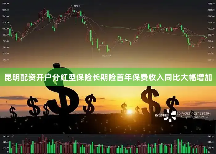 昆明配资开户分红型保险长期险首年保费收入同比大幅增加
