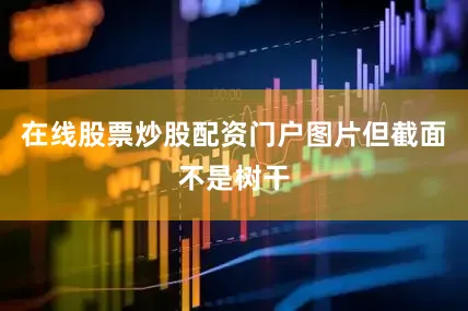 在线股票炒股配资门户图片但截面不是树干